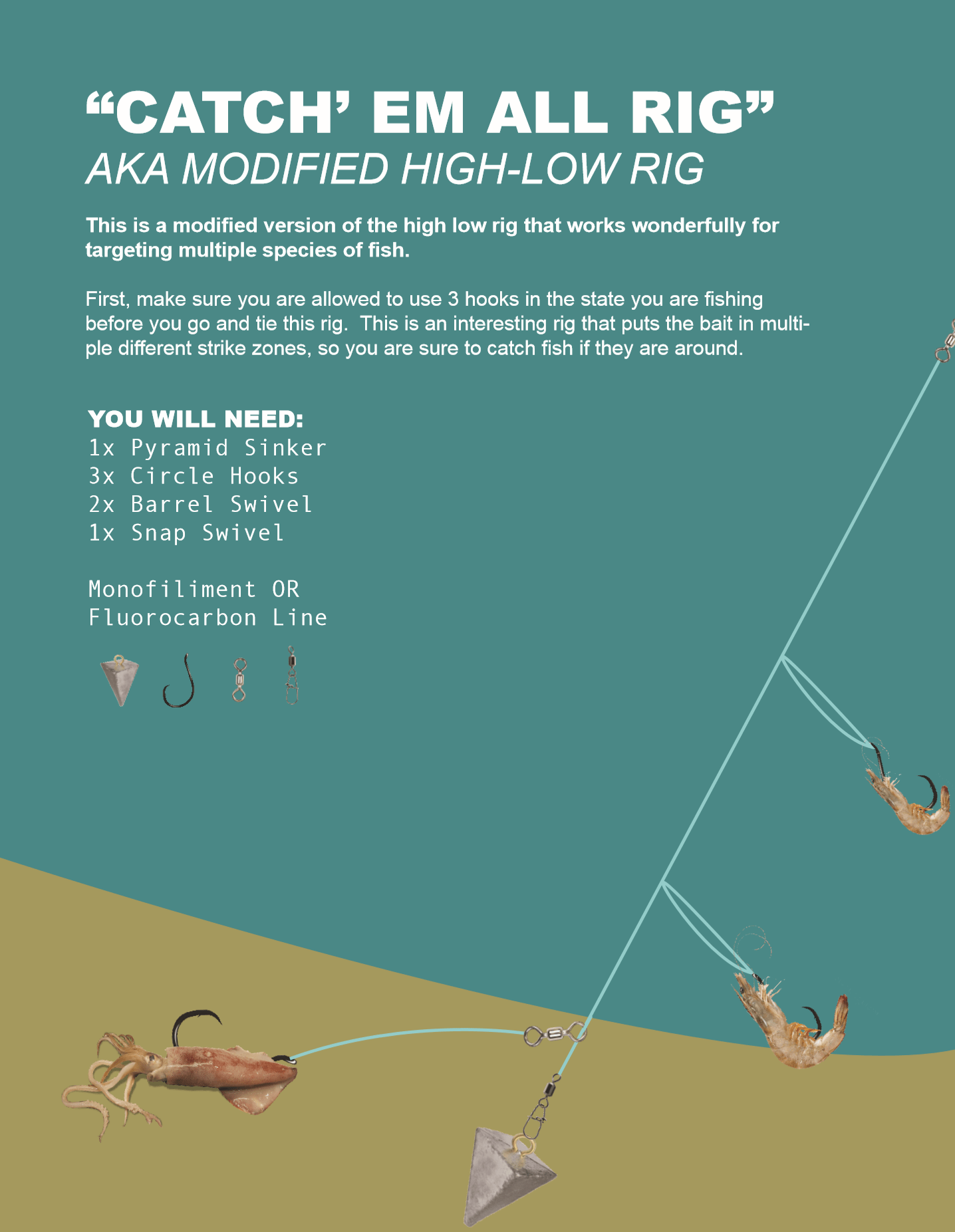 4 Basic Surf Rigs and How to Tie Them (15 page Ebook)