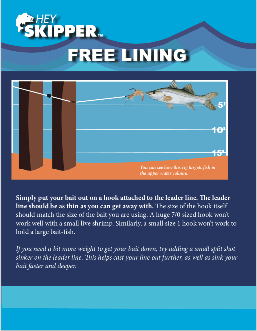 Pier Fishing Rigs and Tactics: 4 Proven Methods to Catch MORE Fish! - Hey  Skipper