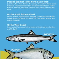 Saltwater Anglers Guide to Fishing with Bait- How to rig, use and catch  fish with bait - Hey Skipper
