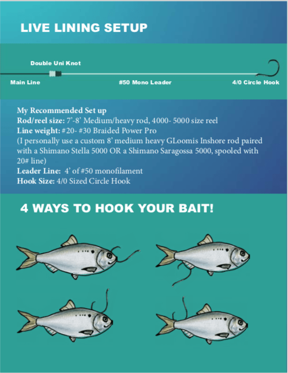 How to Set a Hook and Start Catching More Fish - Tailored Tackle