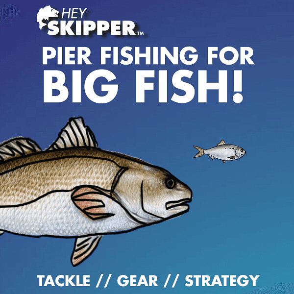 Pier Fishing For BIG fish- Tackle Gear, Techniques and Strategy